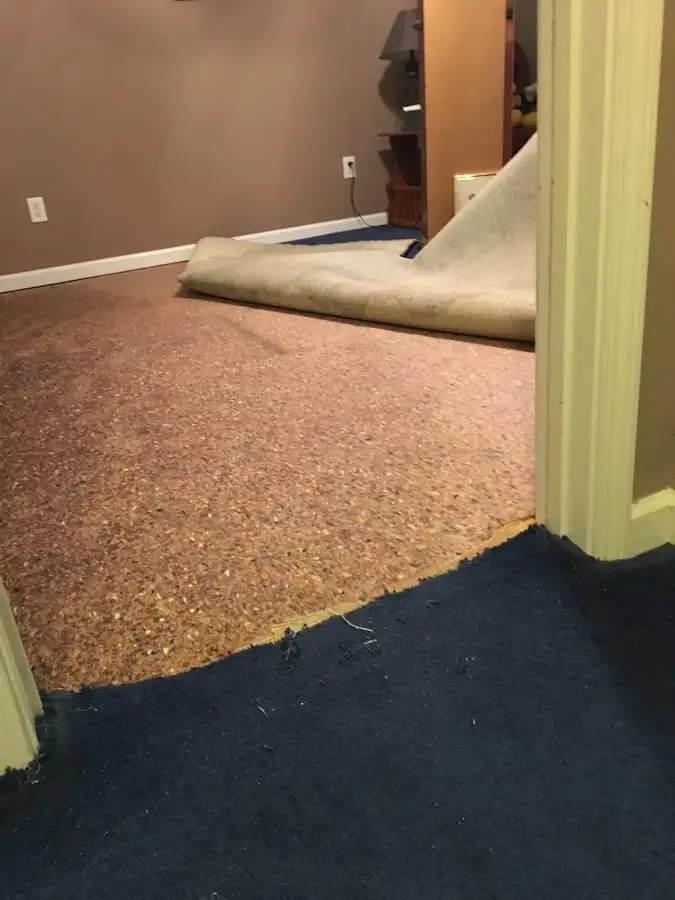 Carpet pad removal revealing water damage during Drying & Dehumidification in Clifton