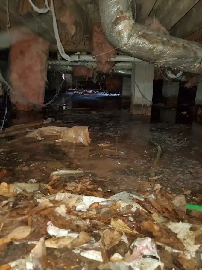 Crawl space flood assessment for Leak Detection & Repair in Clifton