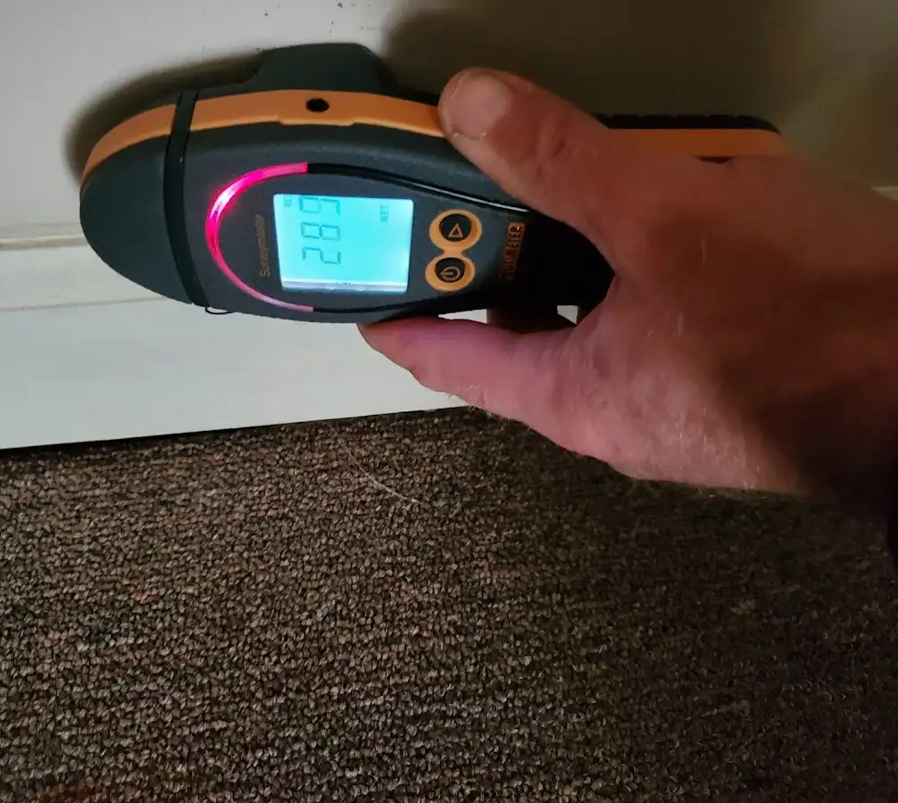 Moisture detection at baseboard during Mold Inspection & Testing in Clifton